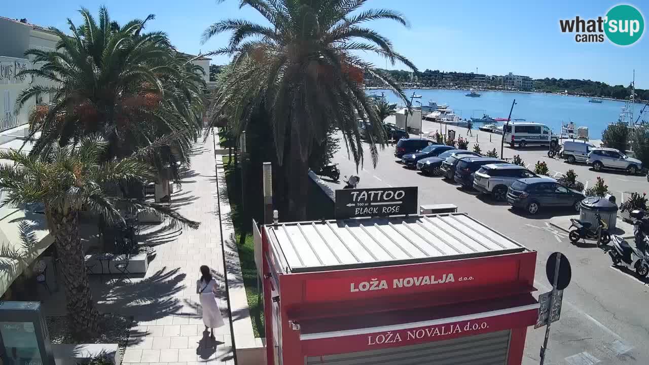 Camera en diecto Novalja – Obala Petra Krešimira IV