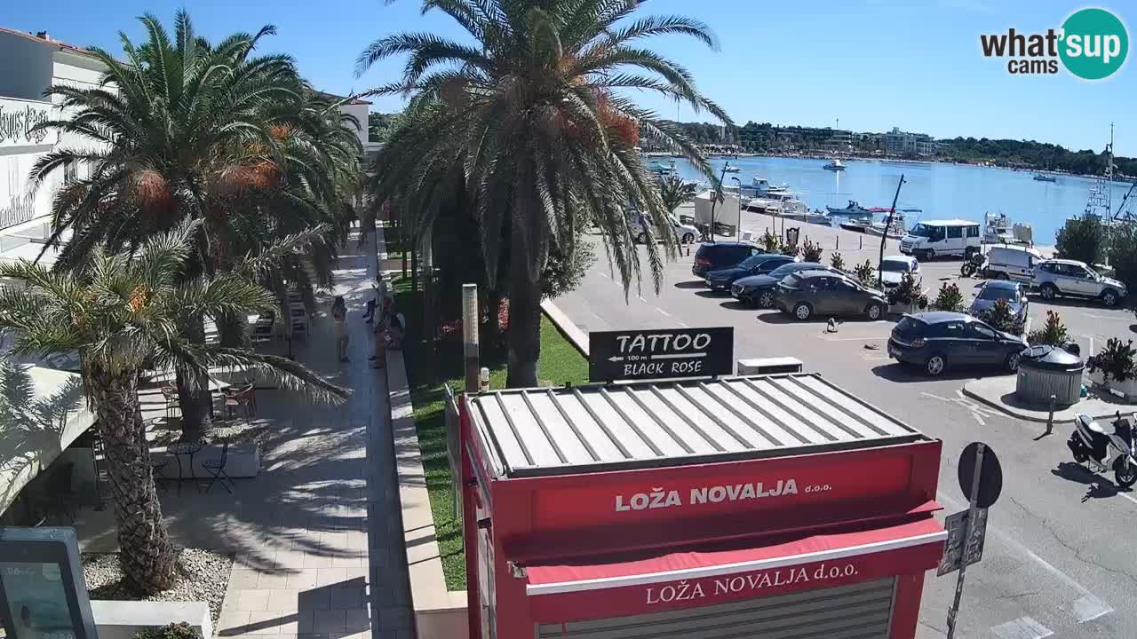 Camera en diecto Novalja – Obala Petra Krešimira IV