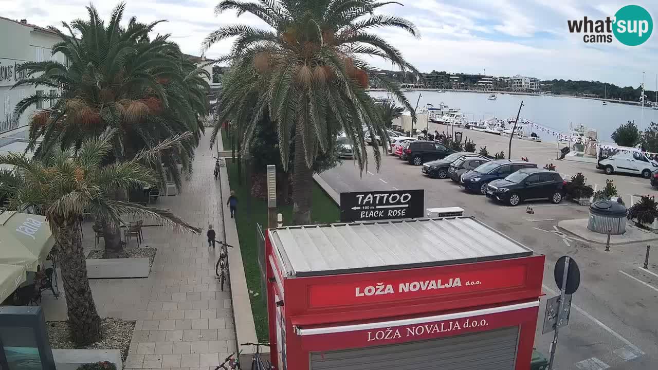 Camera en diecto Novalja – Obala Petra Krešimira IV