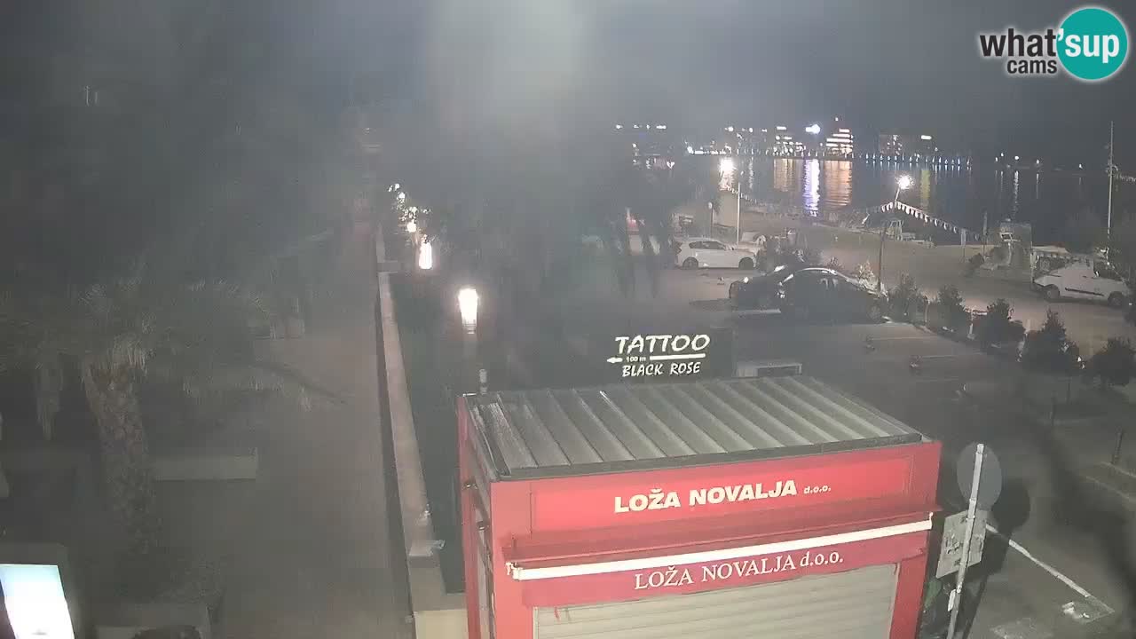 Camera en diecto Novalja – Obala Petra Krešimira IV