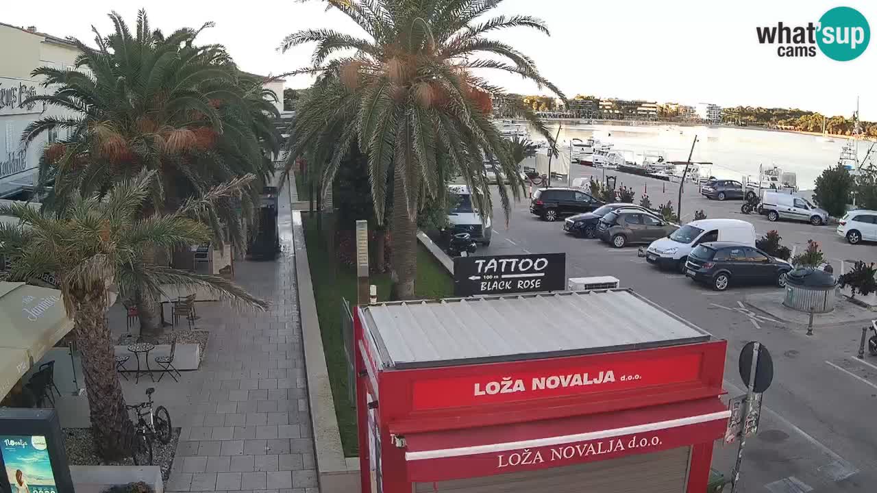 Camera en diecto Novalja – Obala Petra Krešimira IV