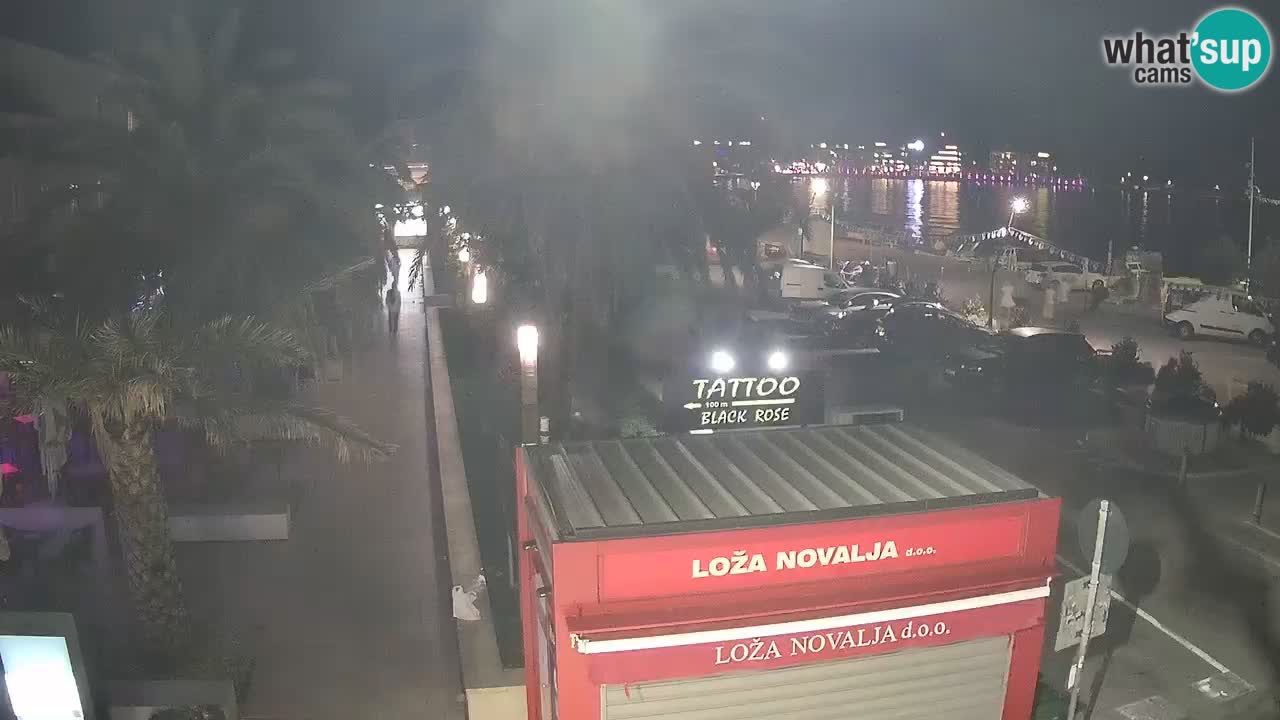 Camera en diecto Novalja – Obala Petra Krešimira IV
