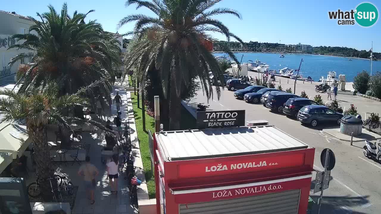 Live cam Novalja – Obala Petra Krešimira IV