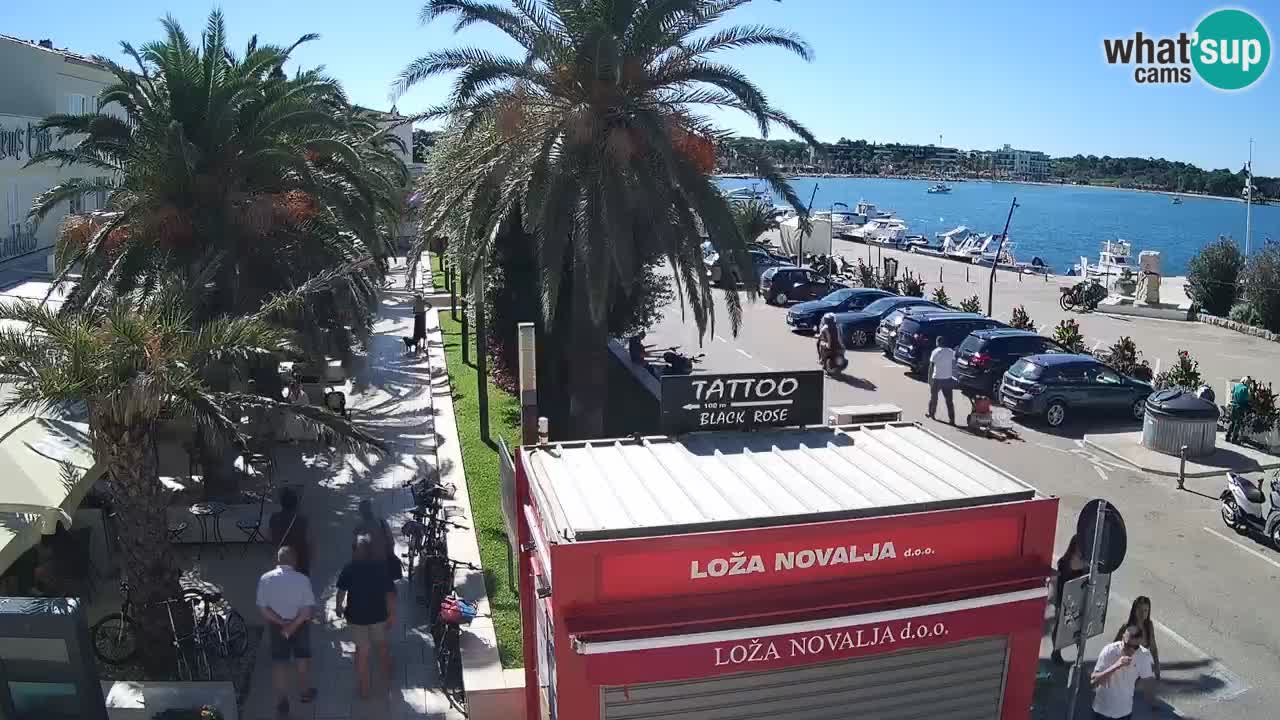Webcam Novalja – Obala Petra Krešimira IV