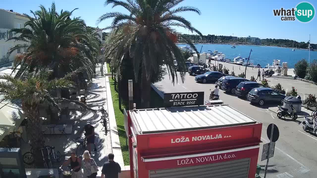 Camera en diecto Novalja – Obala Petra Krešimira IV