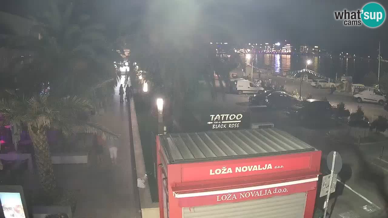Camera en diecto Novalja – Obala Petra Krešimira IV
