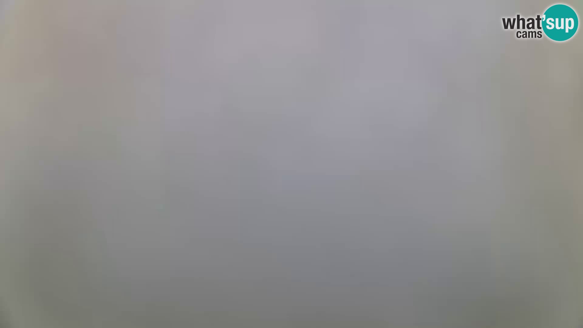 Novalja livecam – plage de la ville