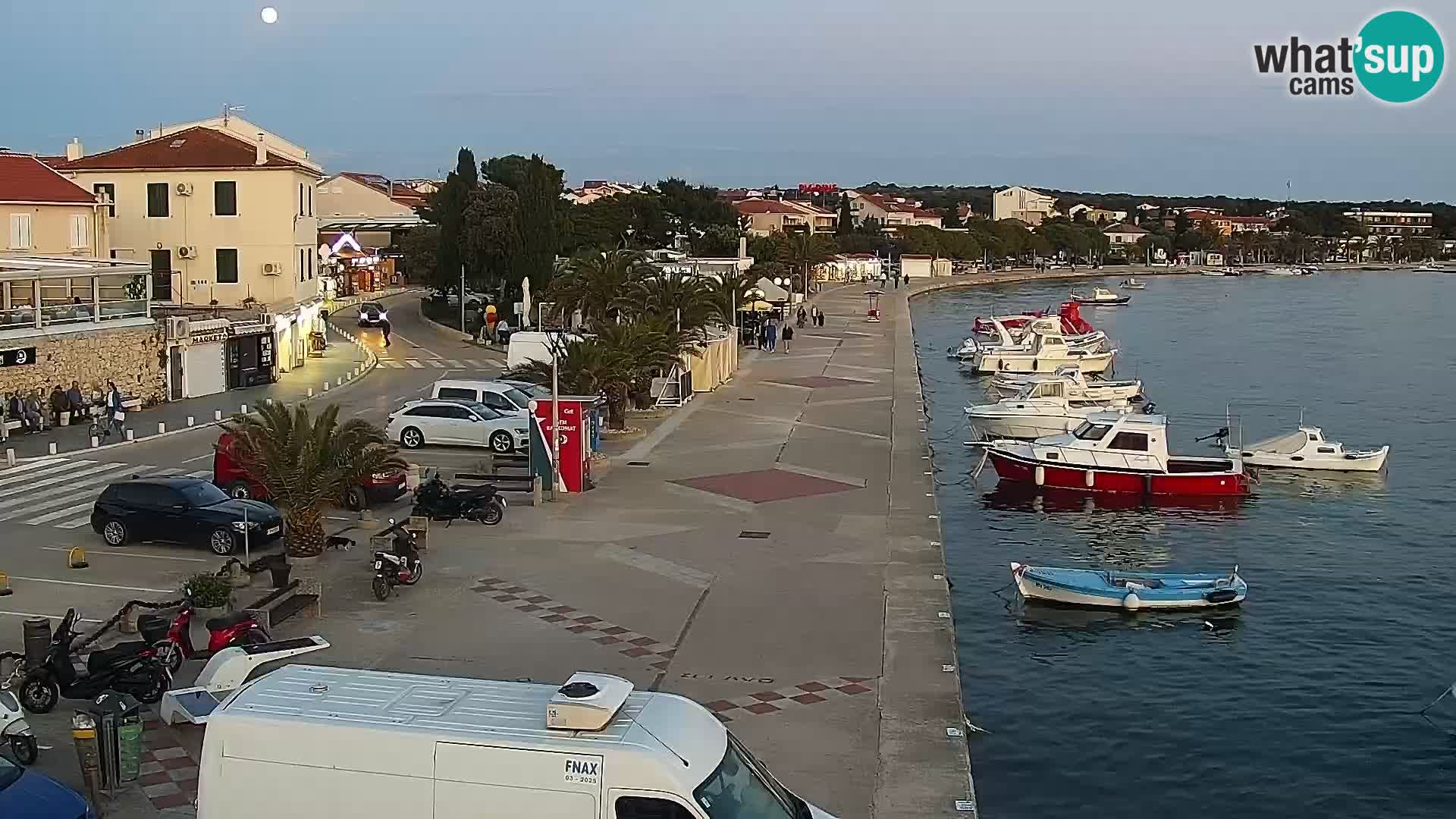 Promenade en Novalia Camera en vivo