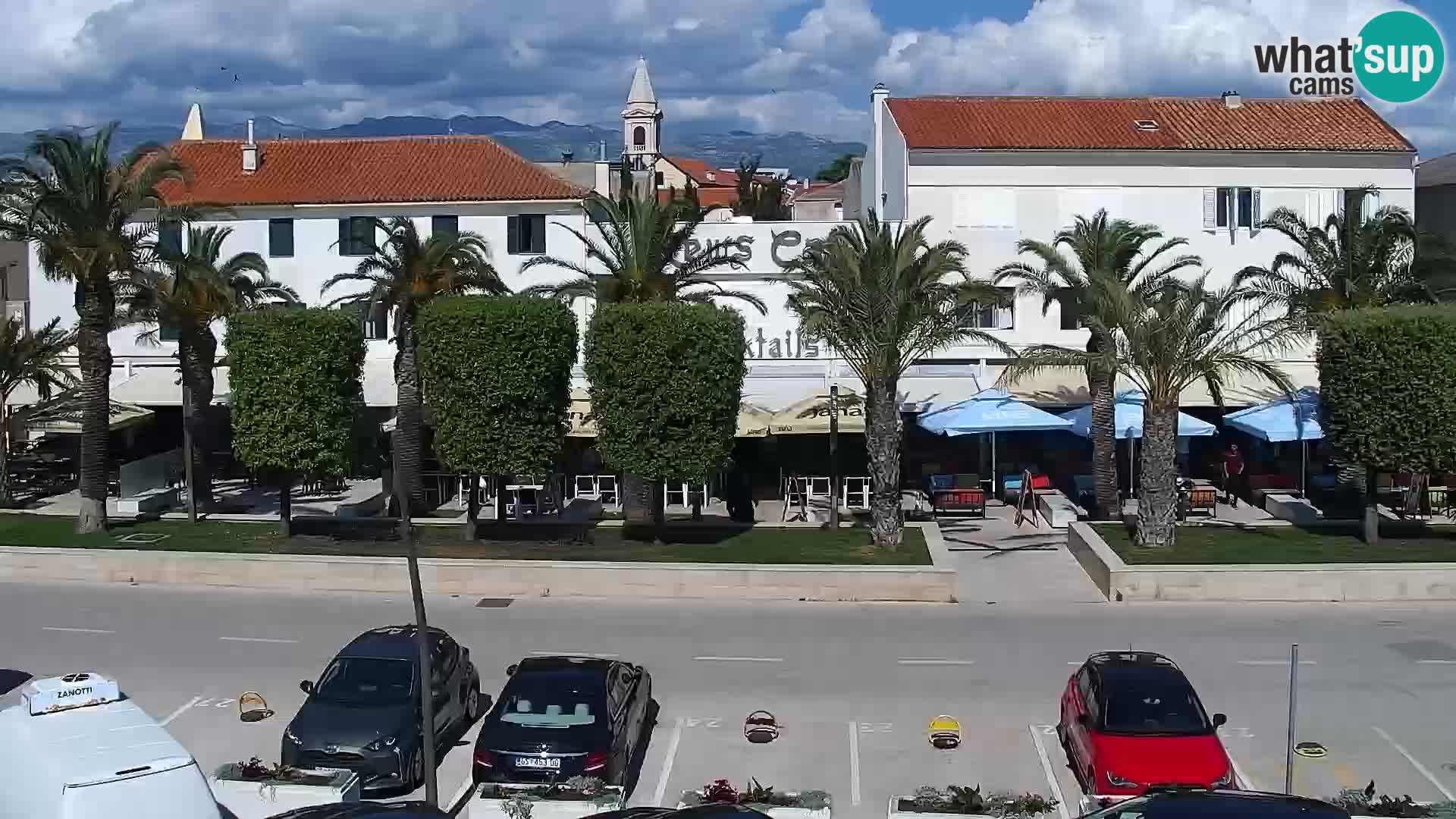 Promenade en Novalia Camera en vivo