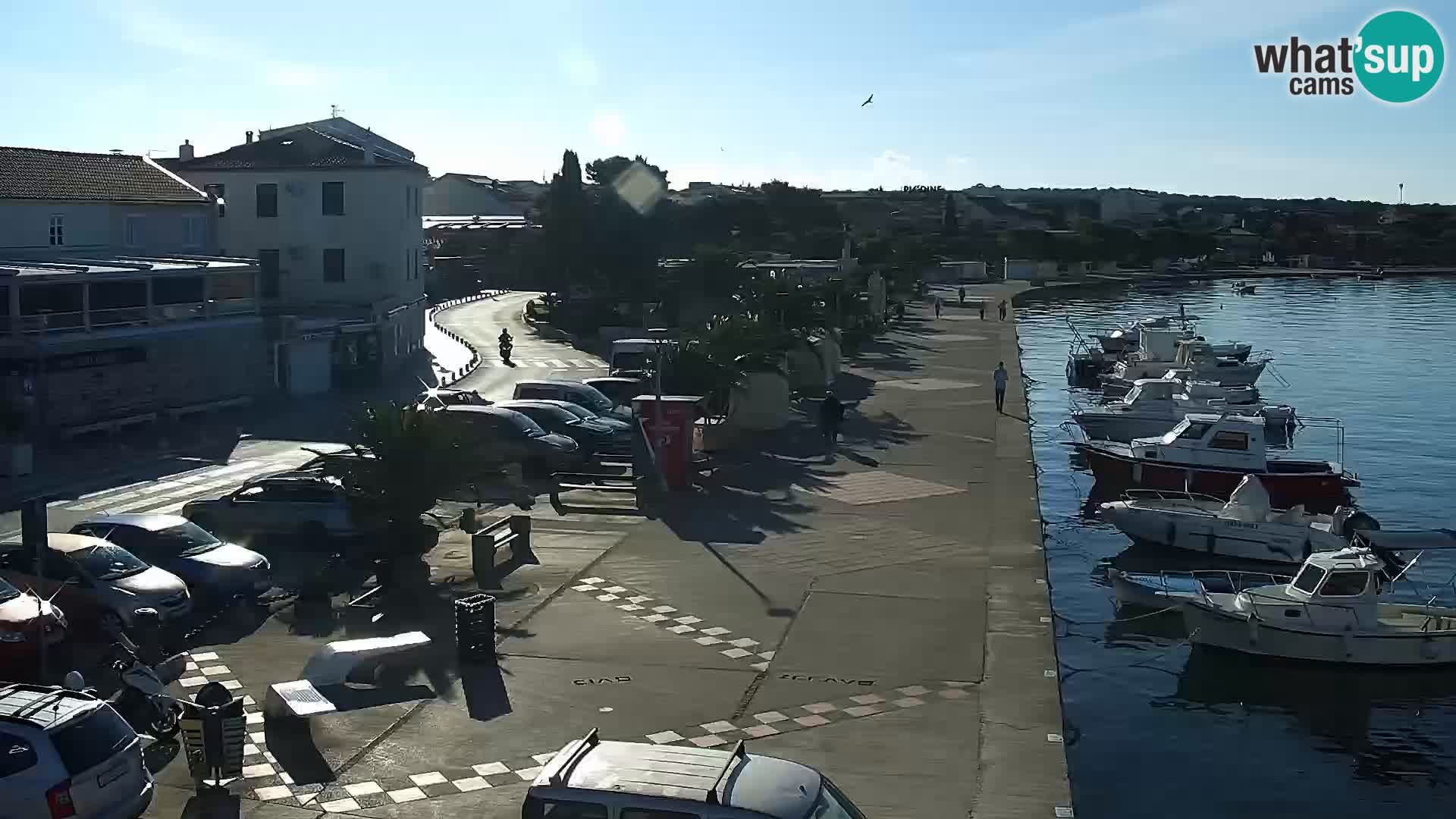 Webcam Novalja seaside promenade