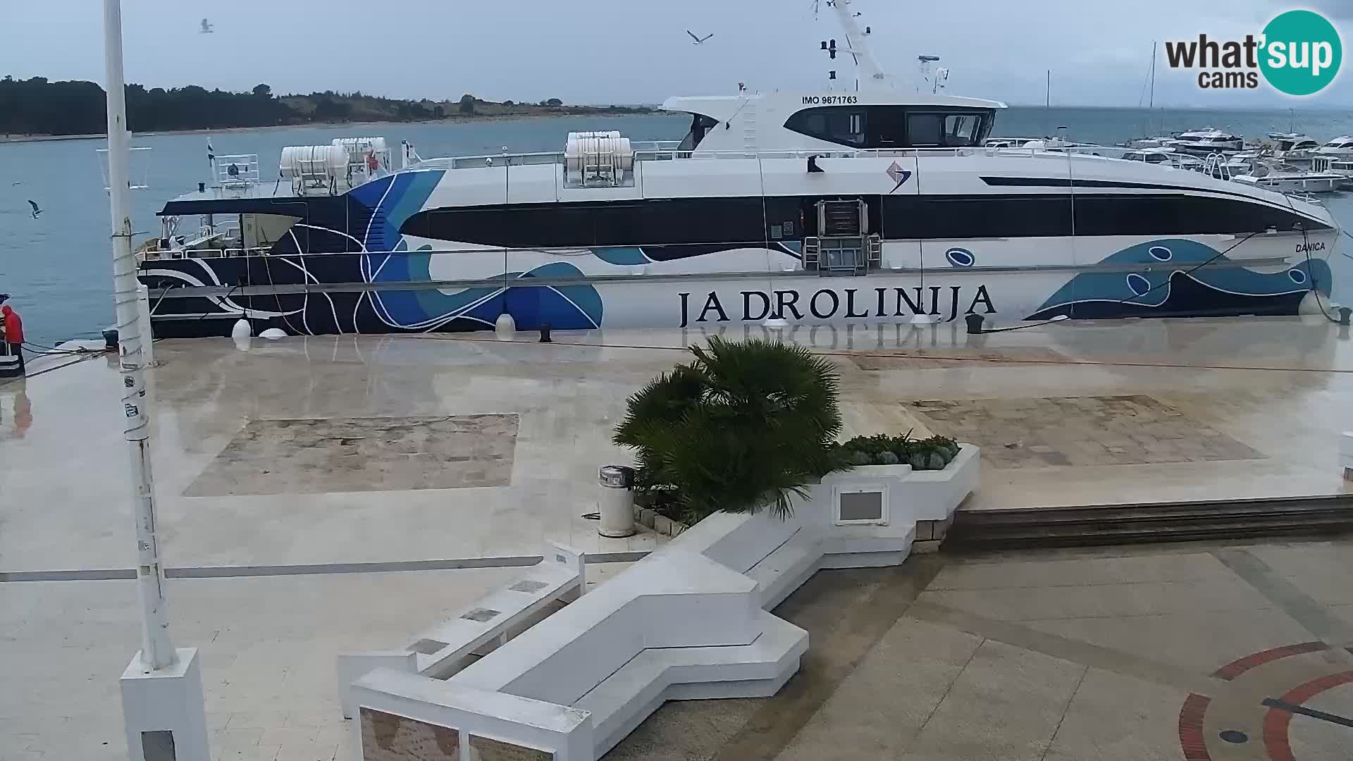 Novalja Livecam promenade