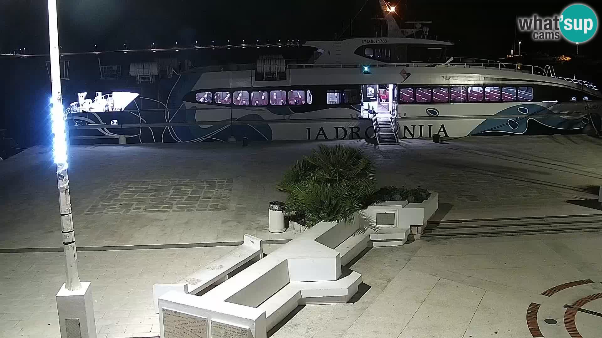 Novalja Livecam promenade