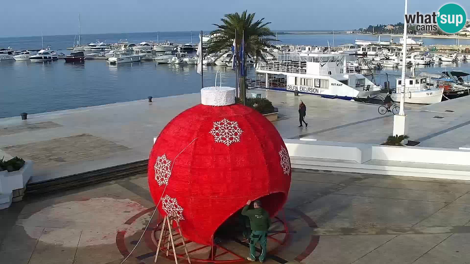 Novalja Livecam promenade