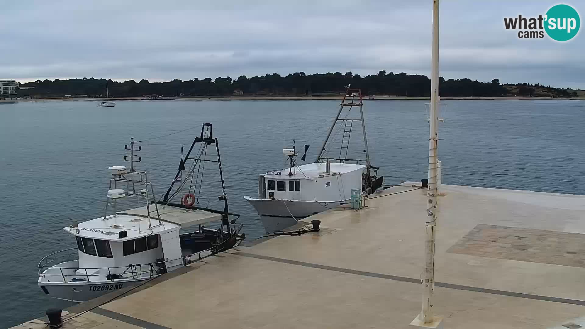 Webcam Novalja seaside promenade