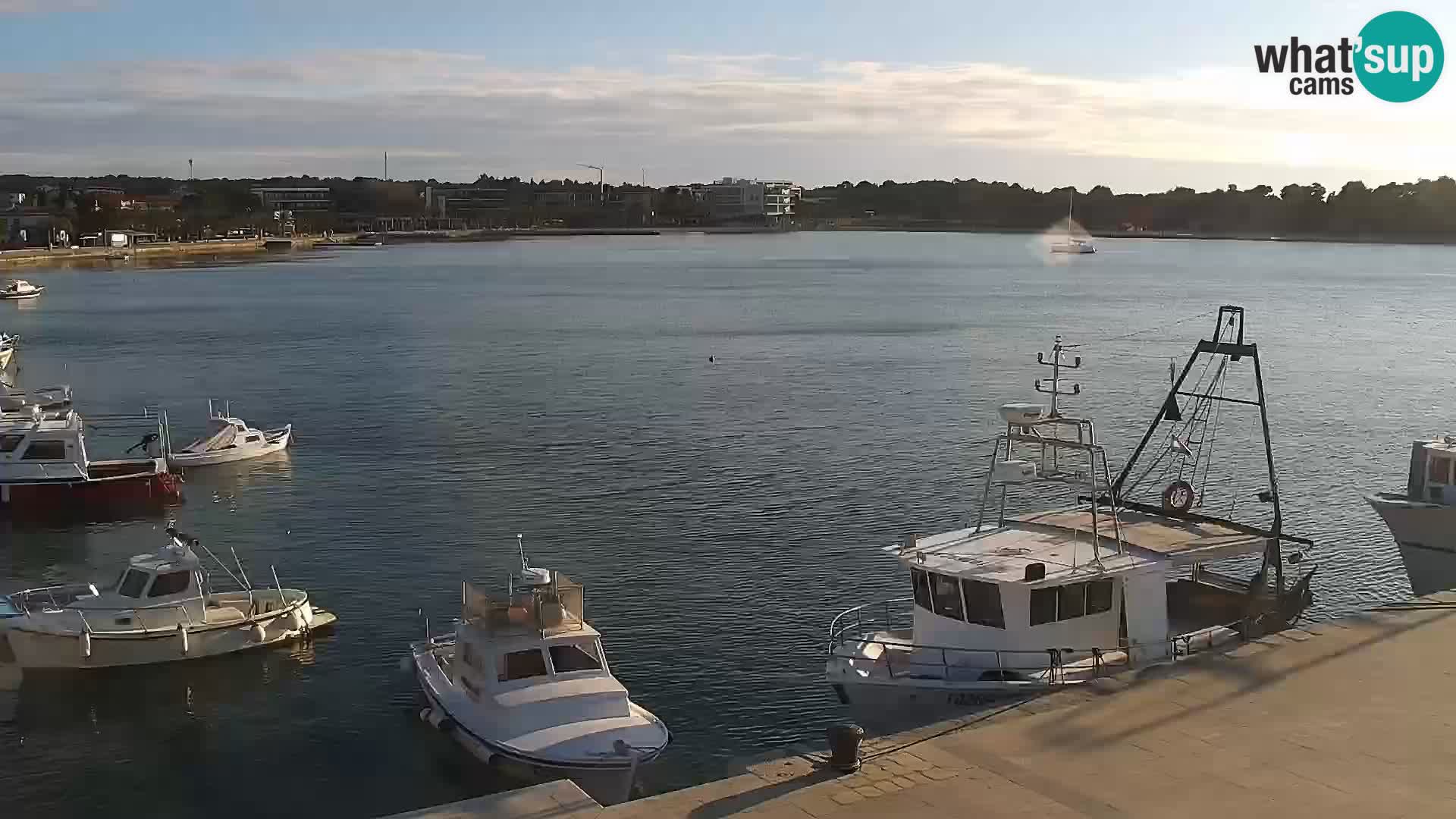 Novalja Livecam promenade