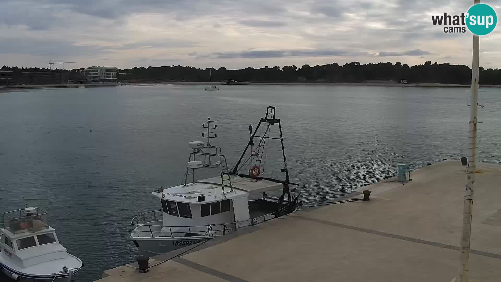 Webcam Novalja seaside promenade