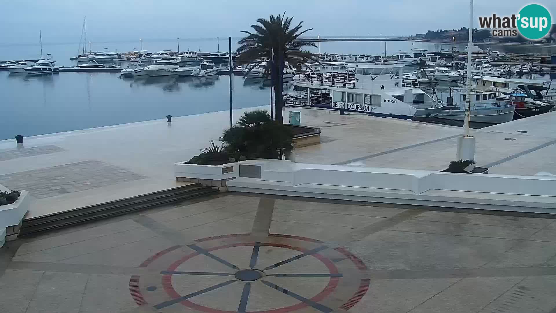 Webcam Novalja seaside promenade