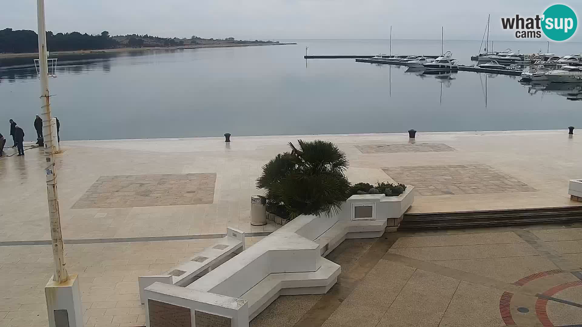 Novalja Livecam promenade