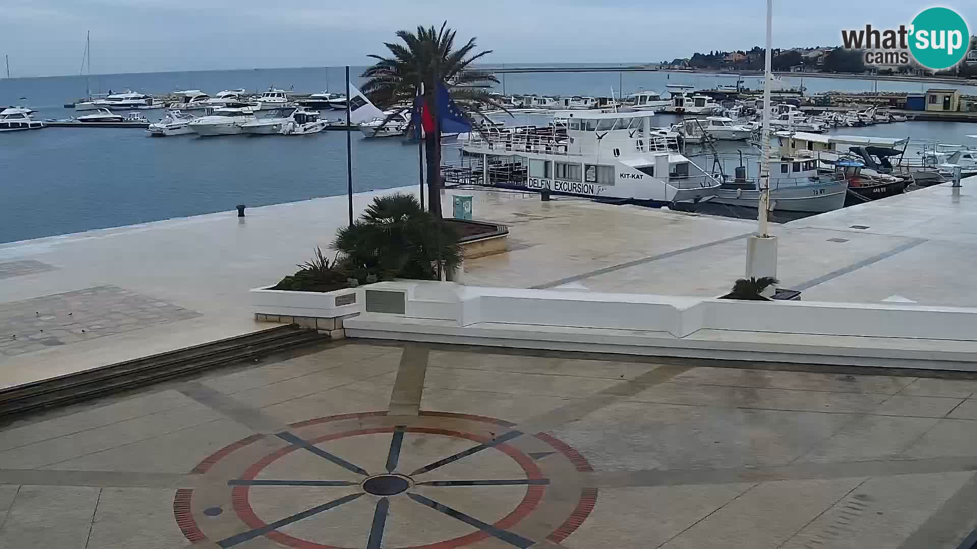 Novalja Livecam promenade