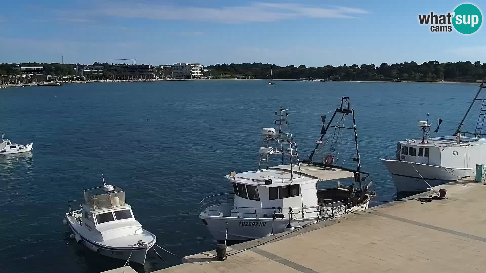 Webcam Novalja seaside promenade