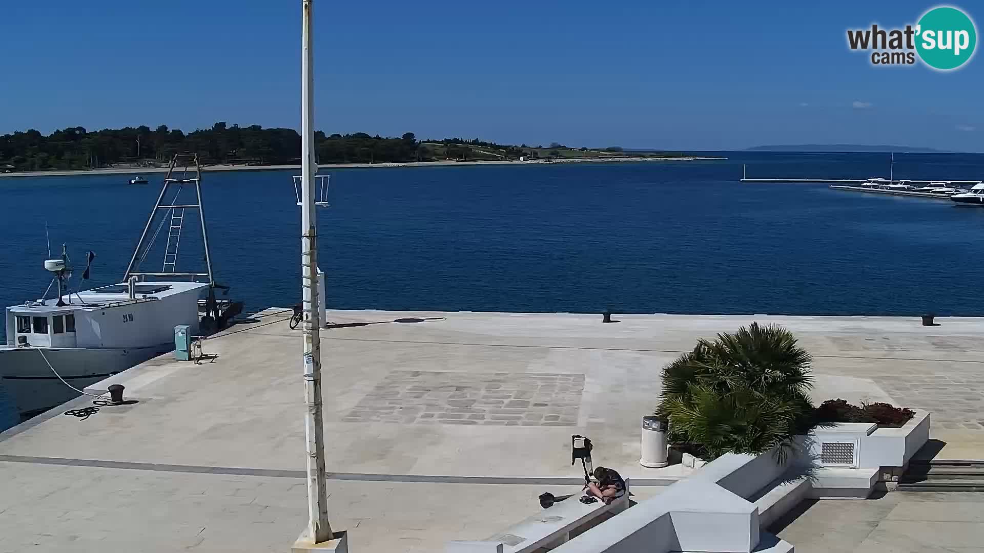 Webcam Novalja seaside promenade