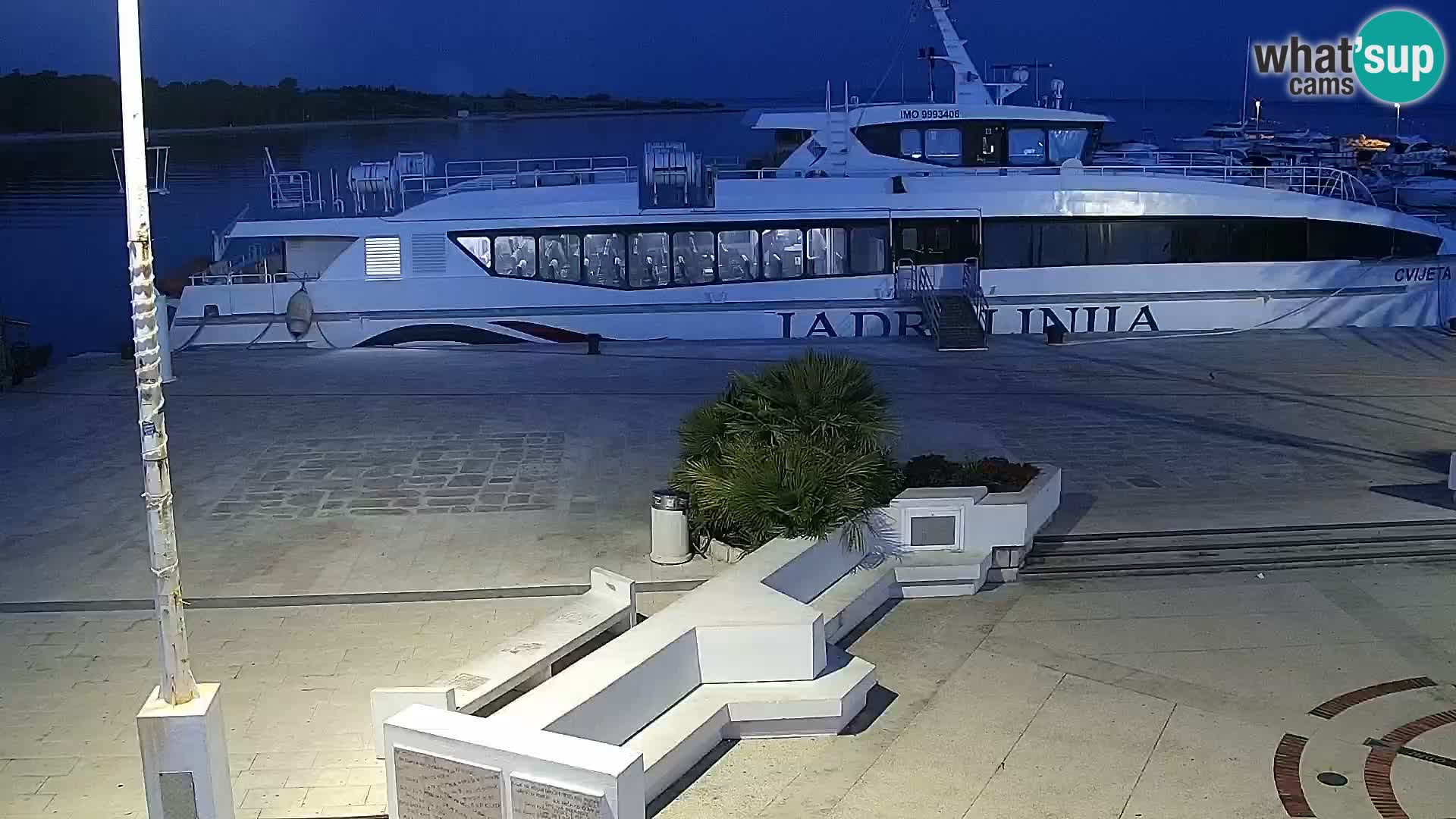 Webcam Novalja seaside promenade