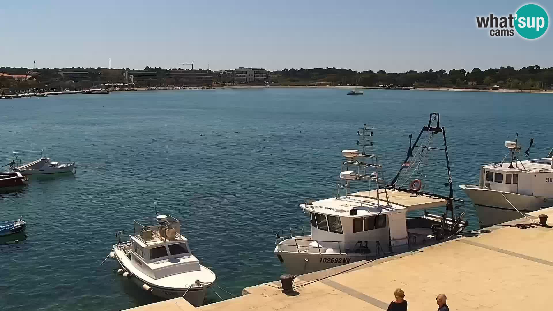 Webcam Novalja seaside promenade