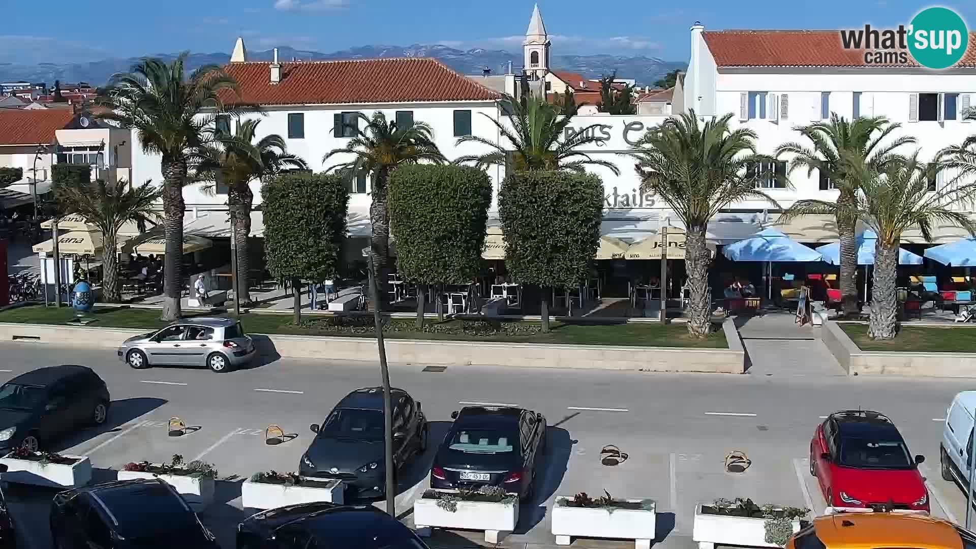 Promenade en Novalia Camera en vivo