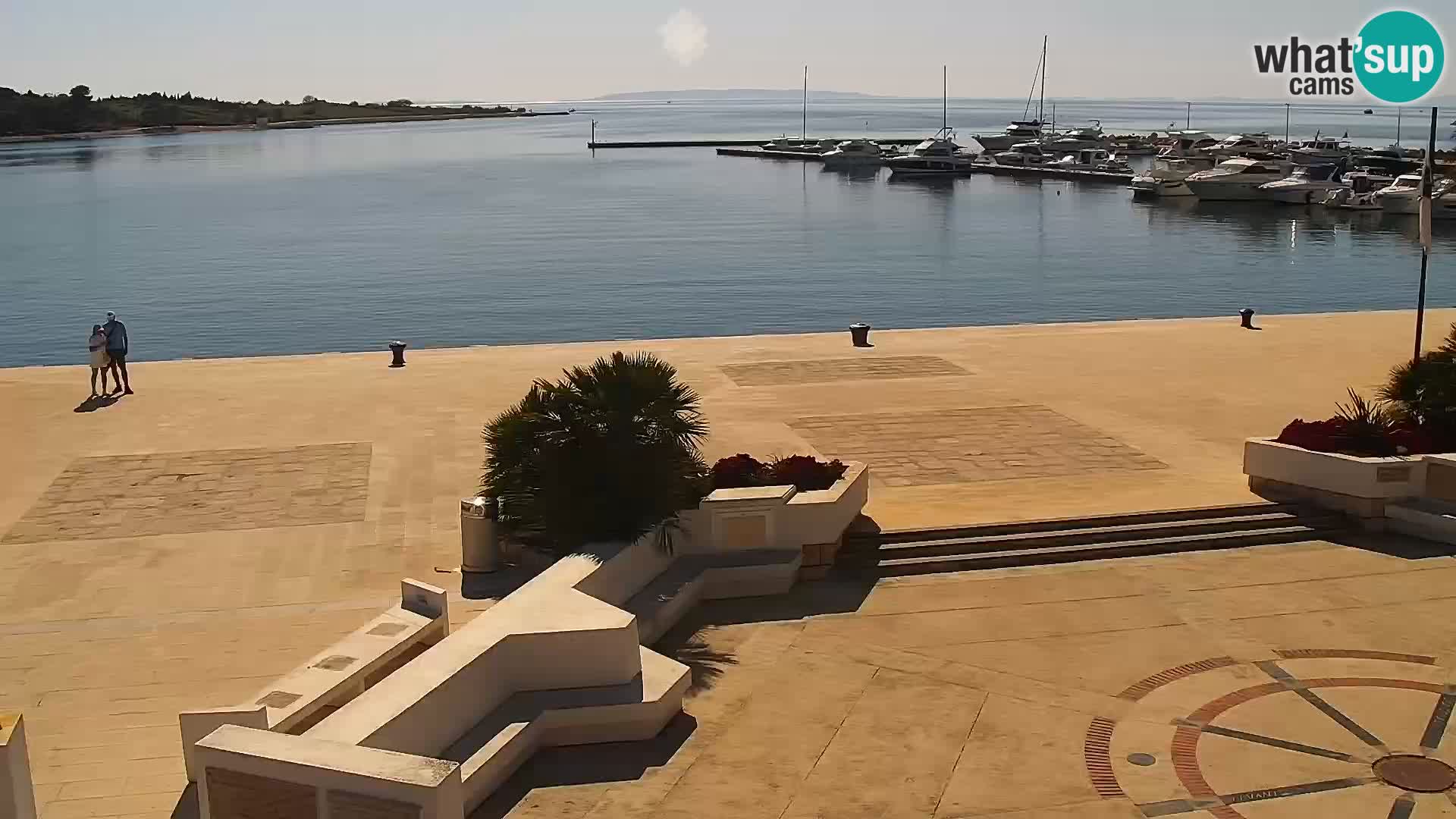 Promenade en Novalia Camera en vivo