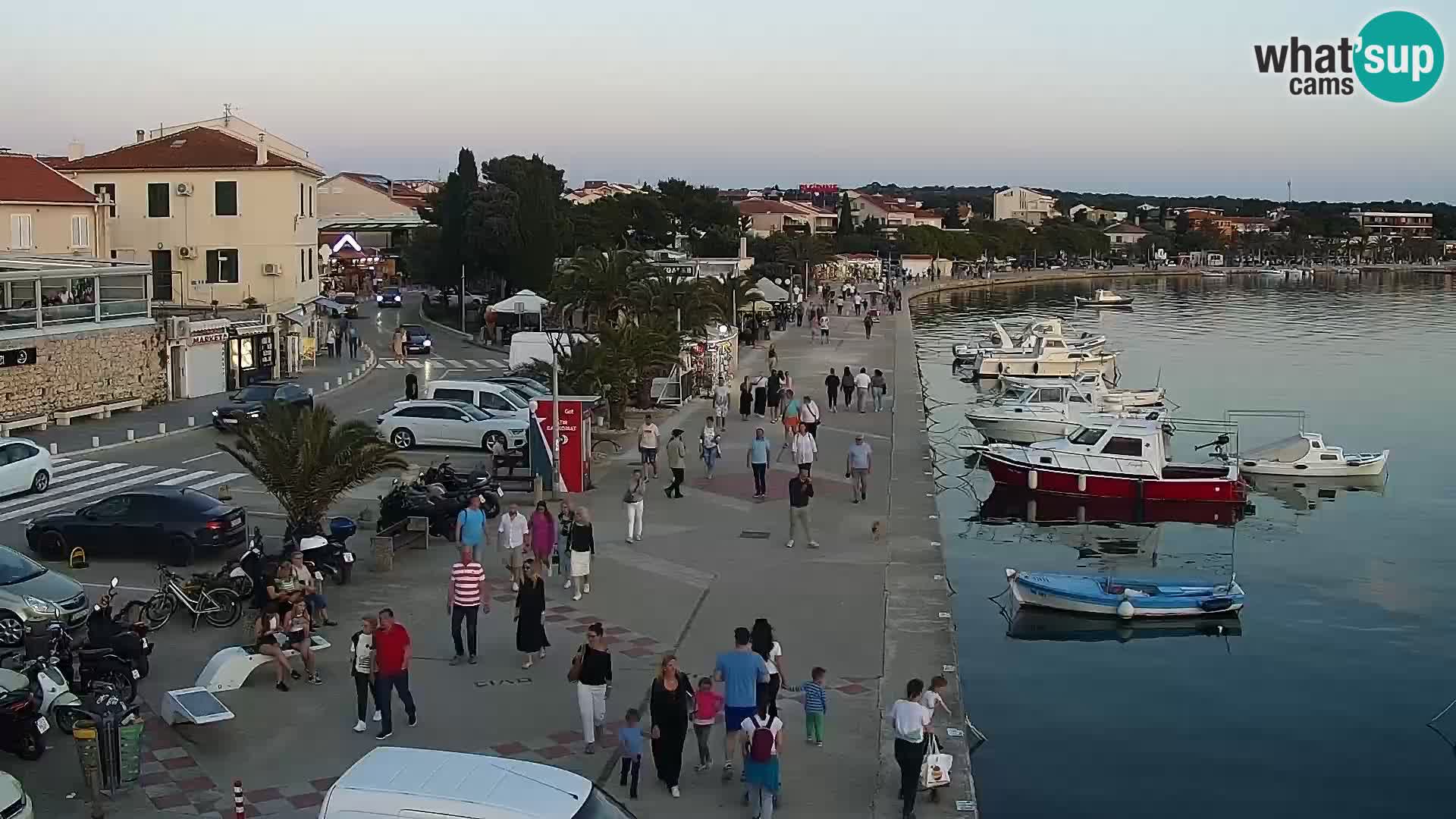 Promenade en Novalia Camera en vivo