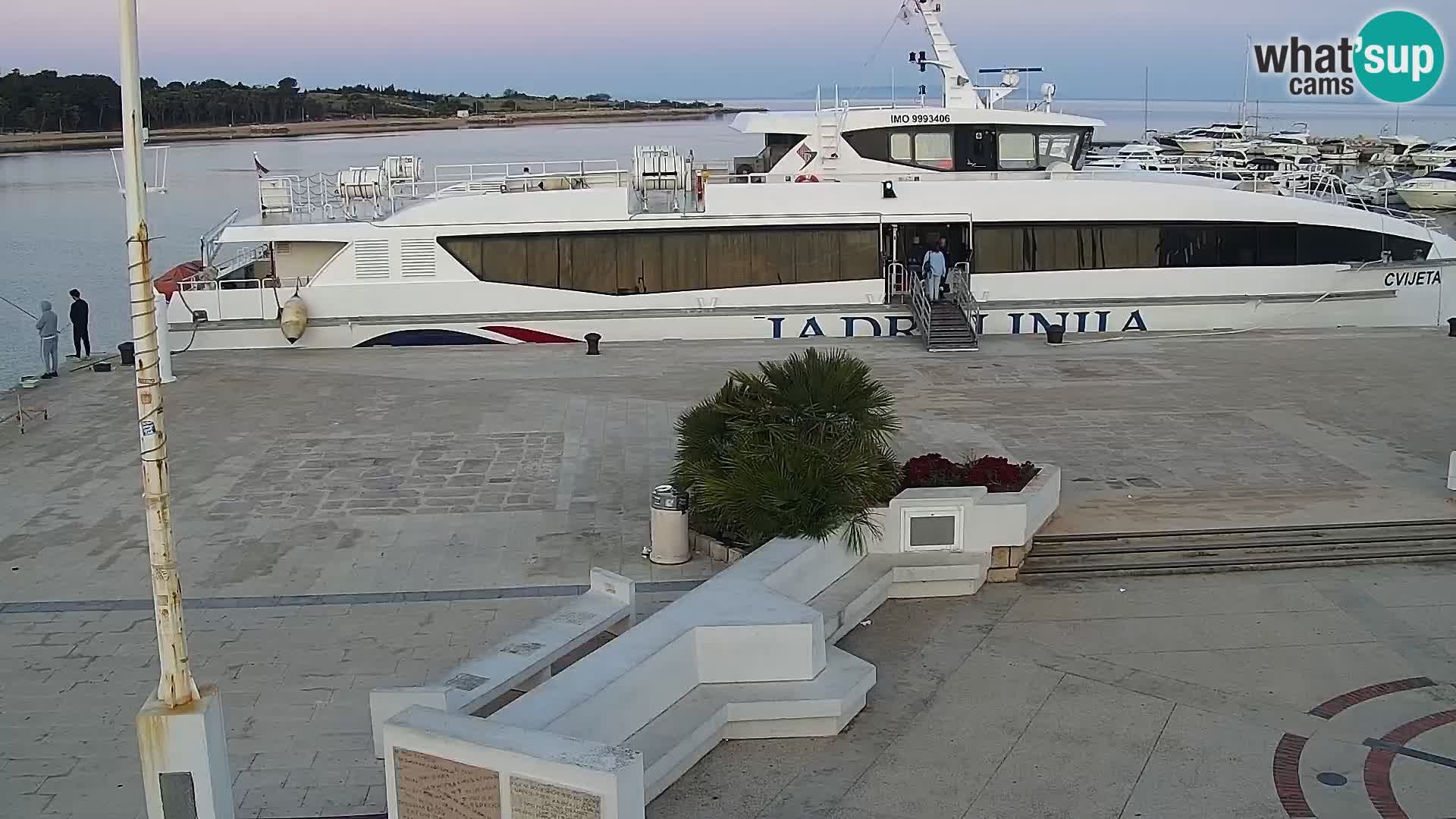 Webcam Novalja seaside promenade