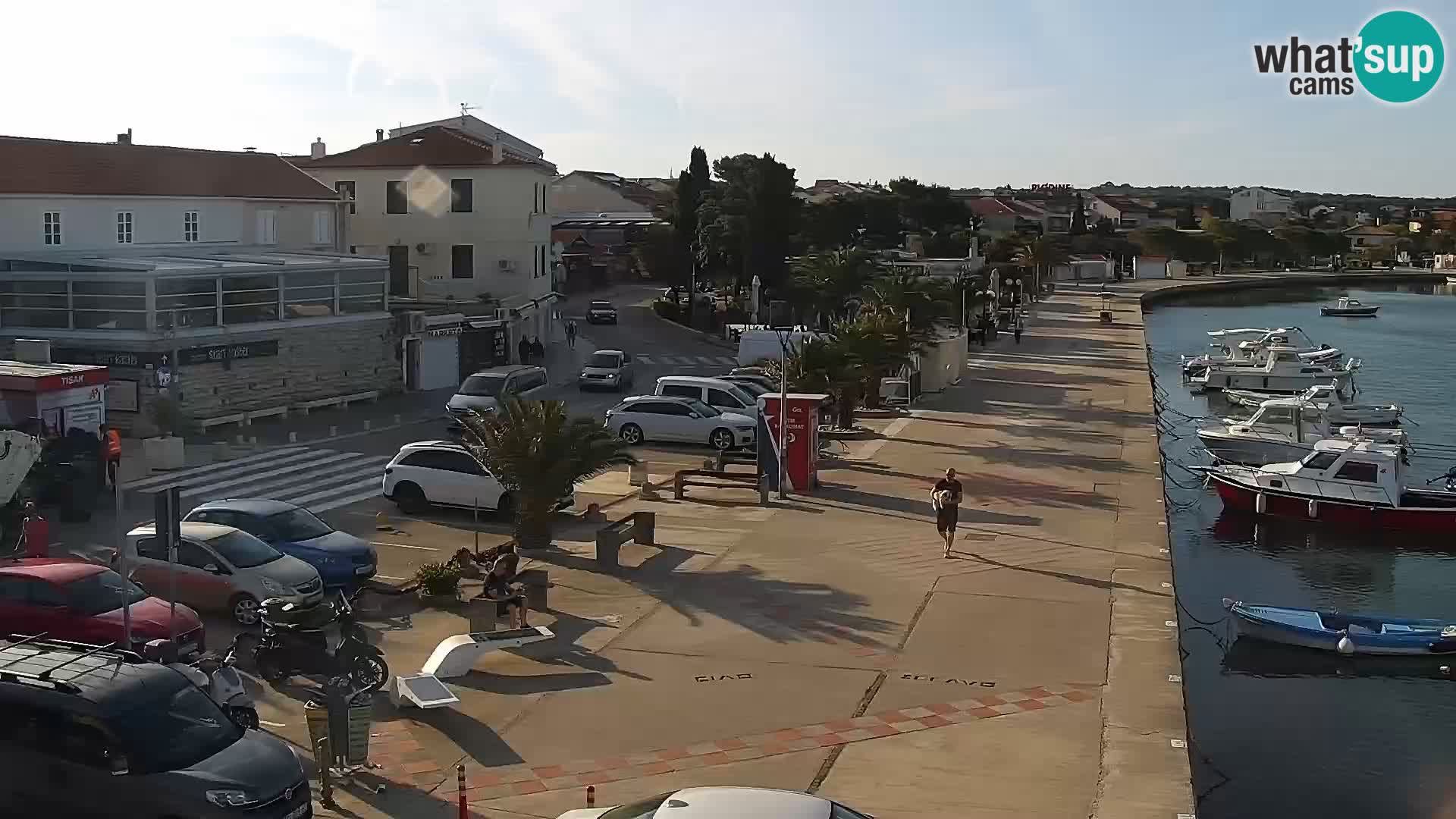 Promenade en Novalia Camera en vivo