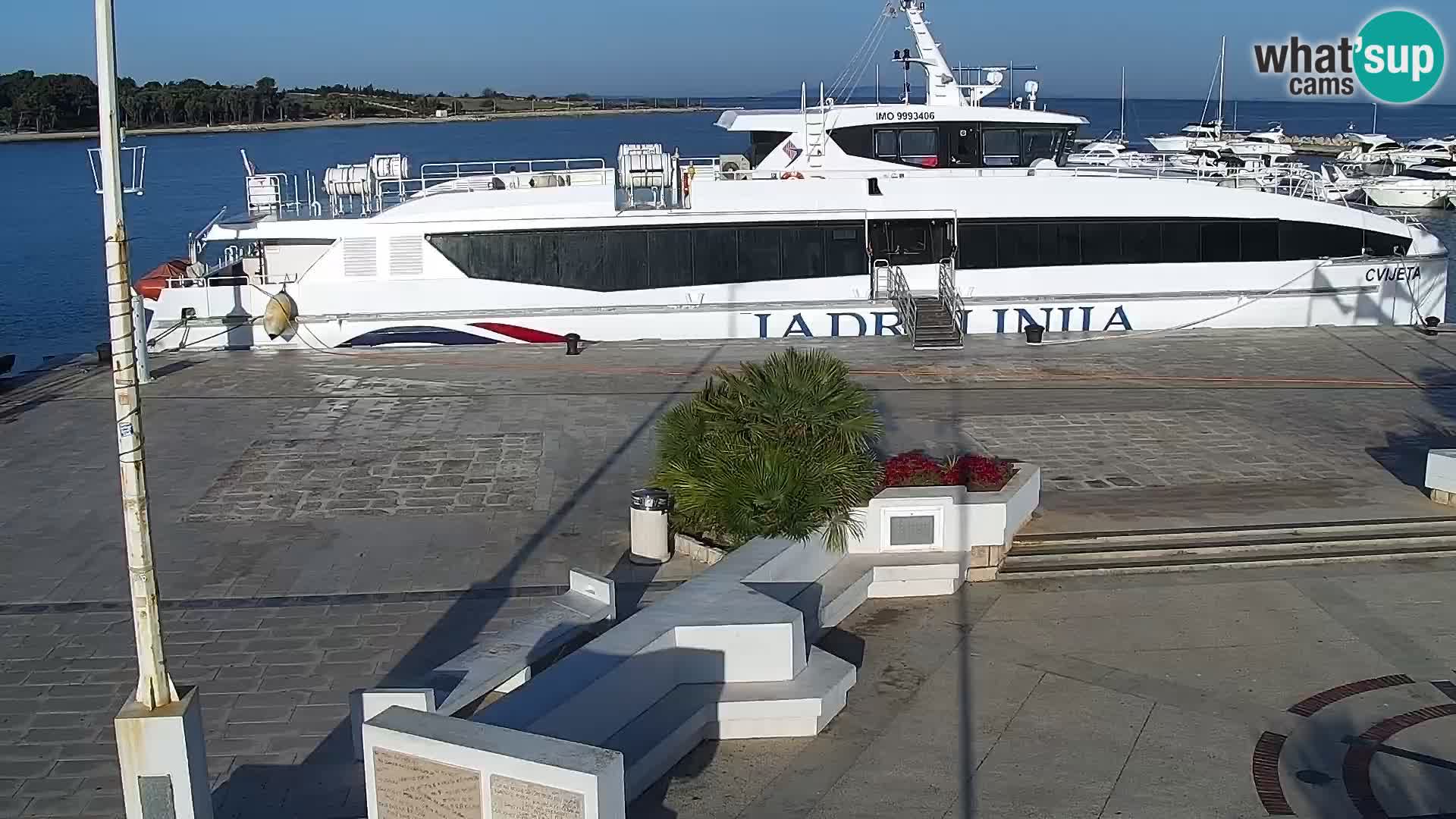 Novalja Livecam promenade