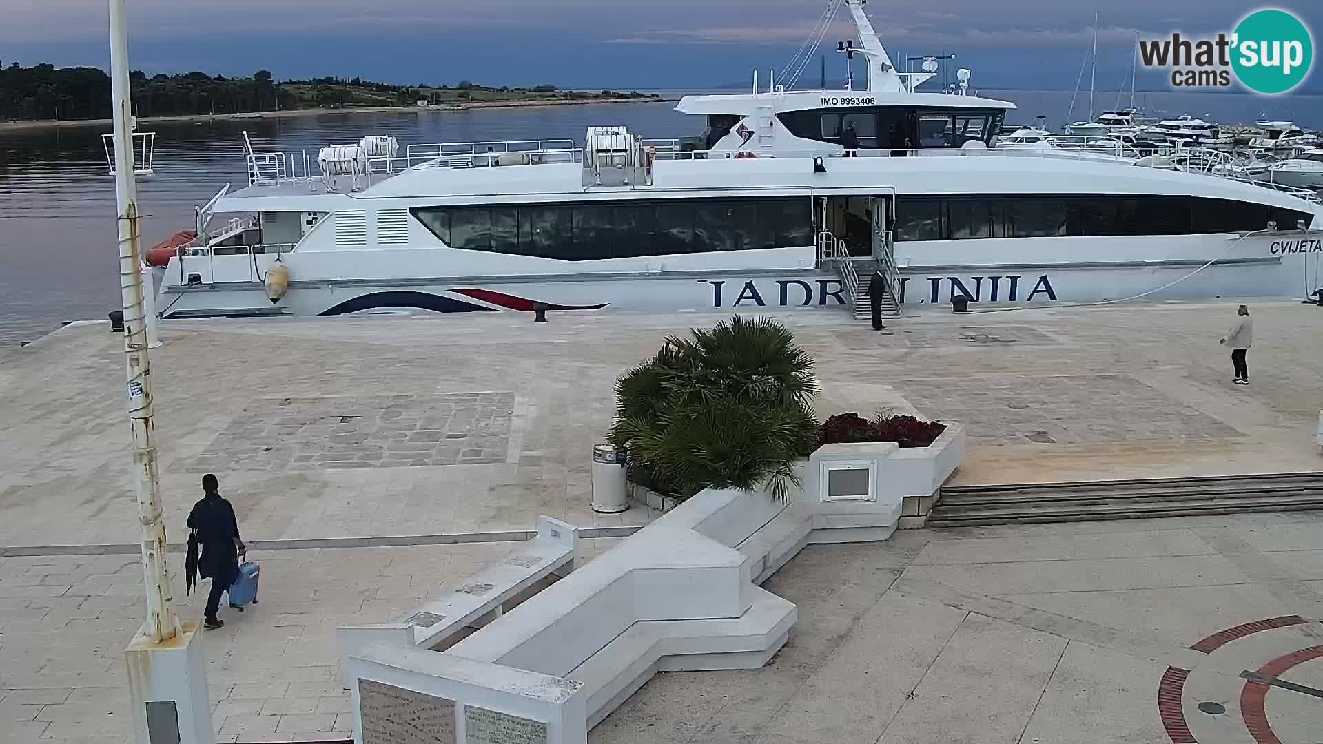 Livecam Promenade a Novalja