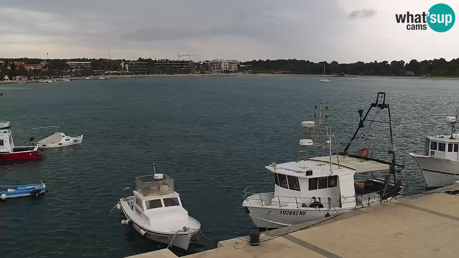 Novalja Livecam promenade