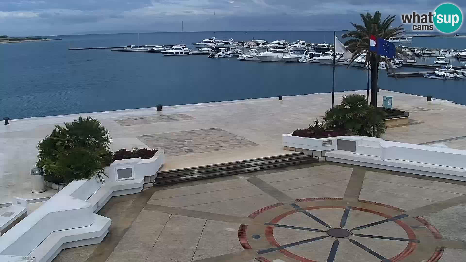 Promenade en Novalia Camera en vivo