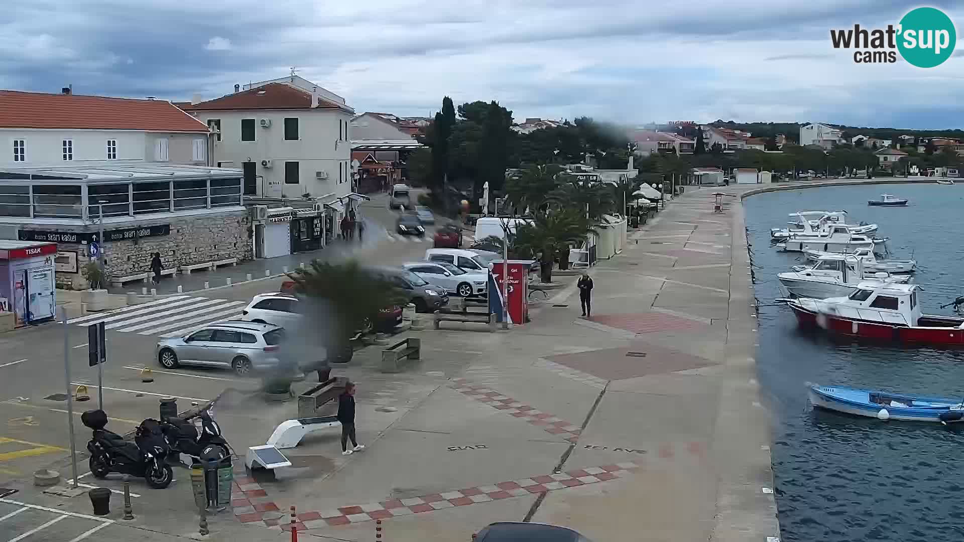 Promenade en Novalia Camera en vivo