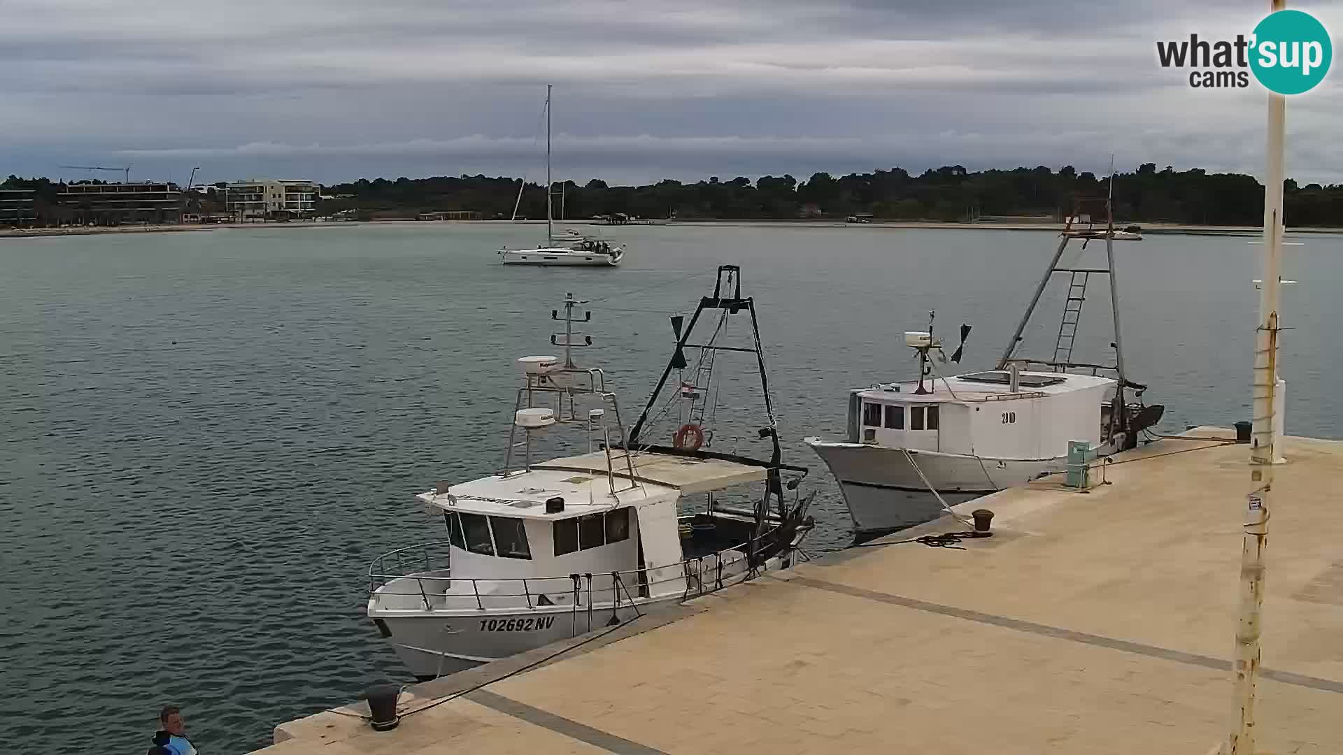 Live webcam Novaglia lungomare