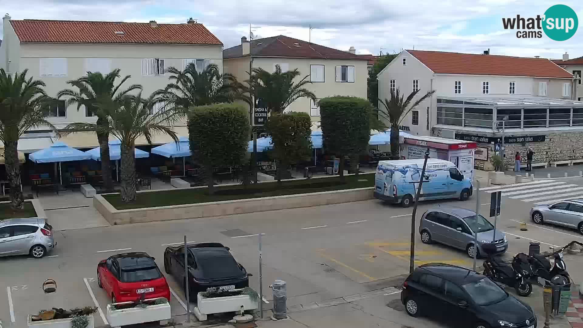 Promenade en Novalia Camera en vivo