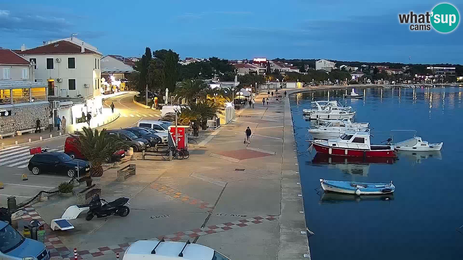 Promenade en Novalia Camera en vivo