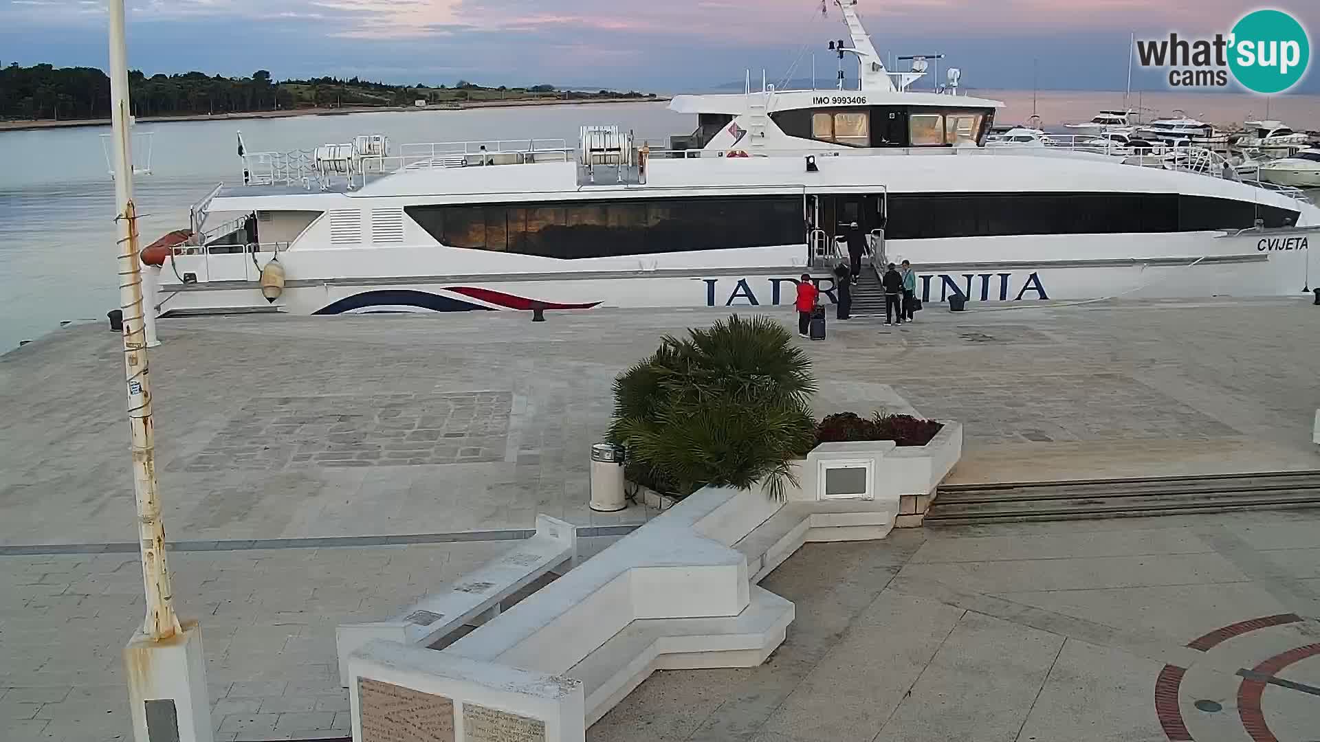 Webcam Novalja seaside promenade