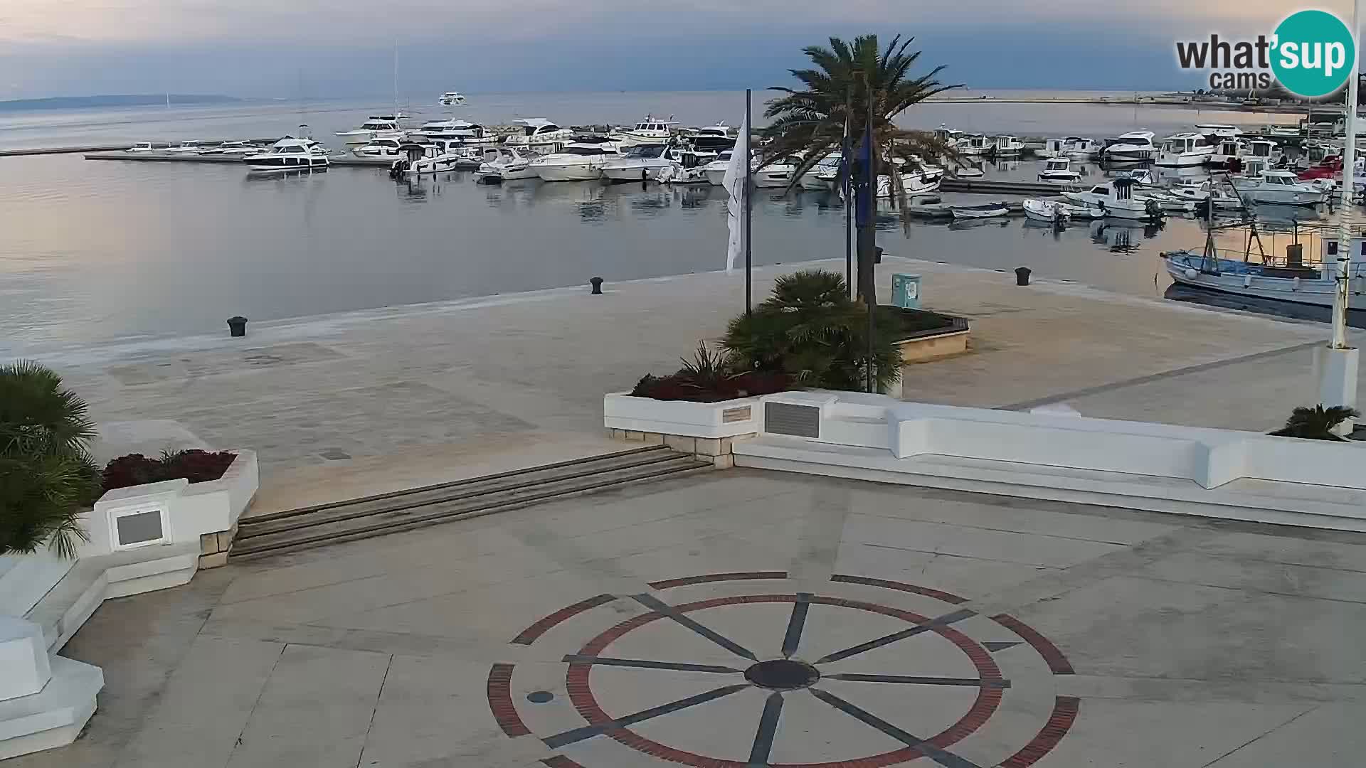 Promenade en Novalia Camera en vivo