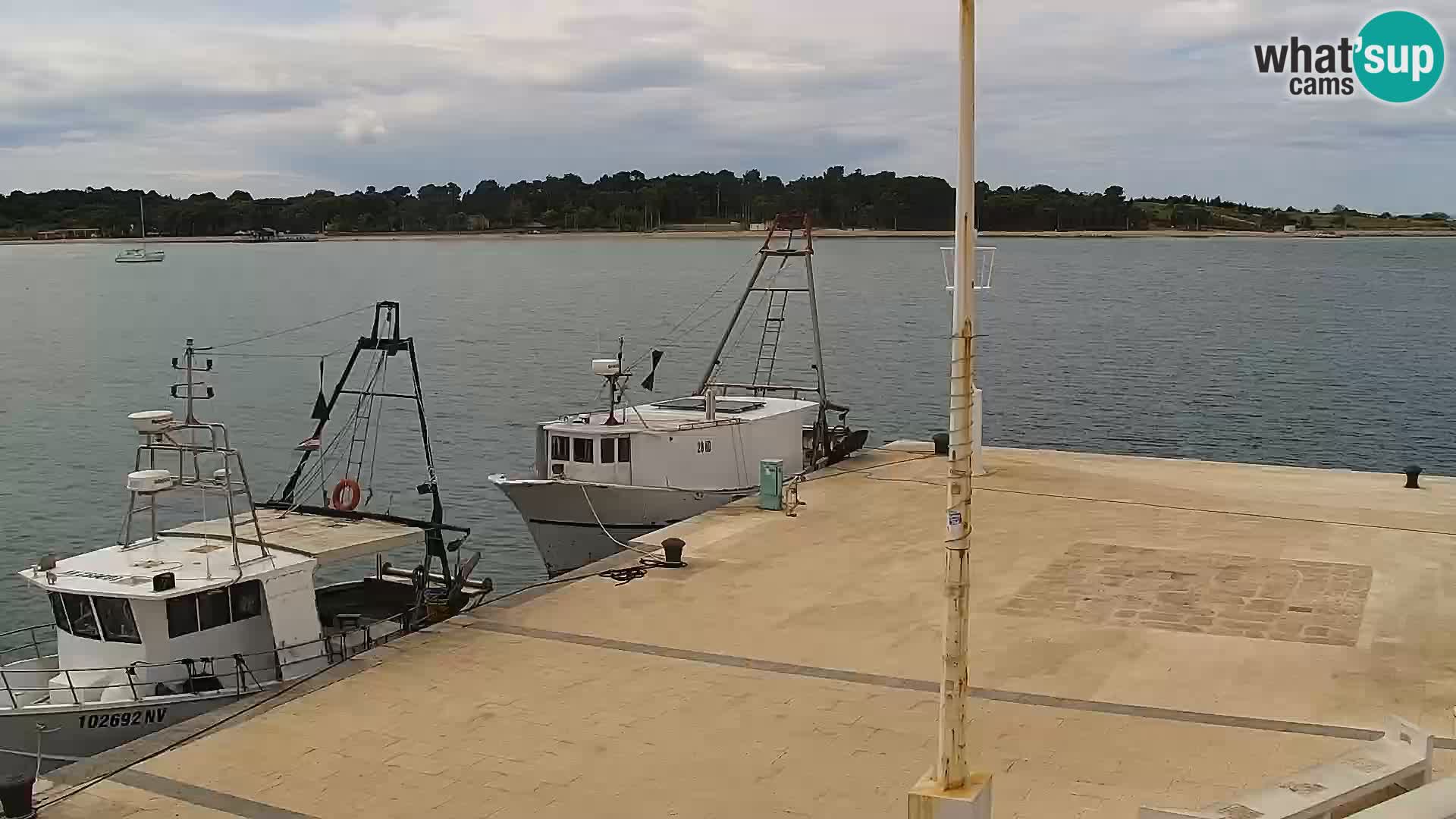 Livecam Promenade a Novalja