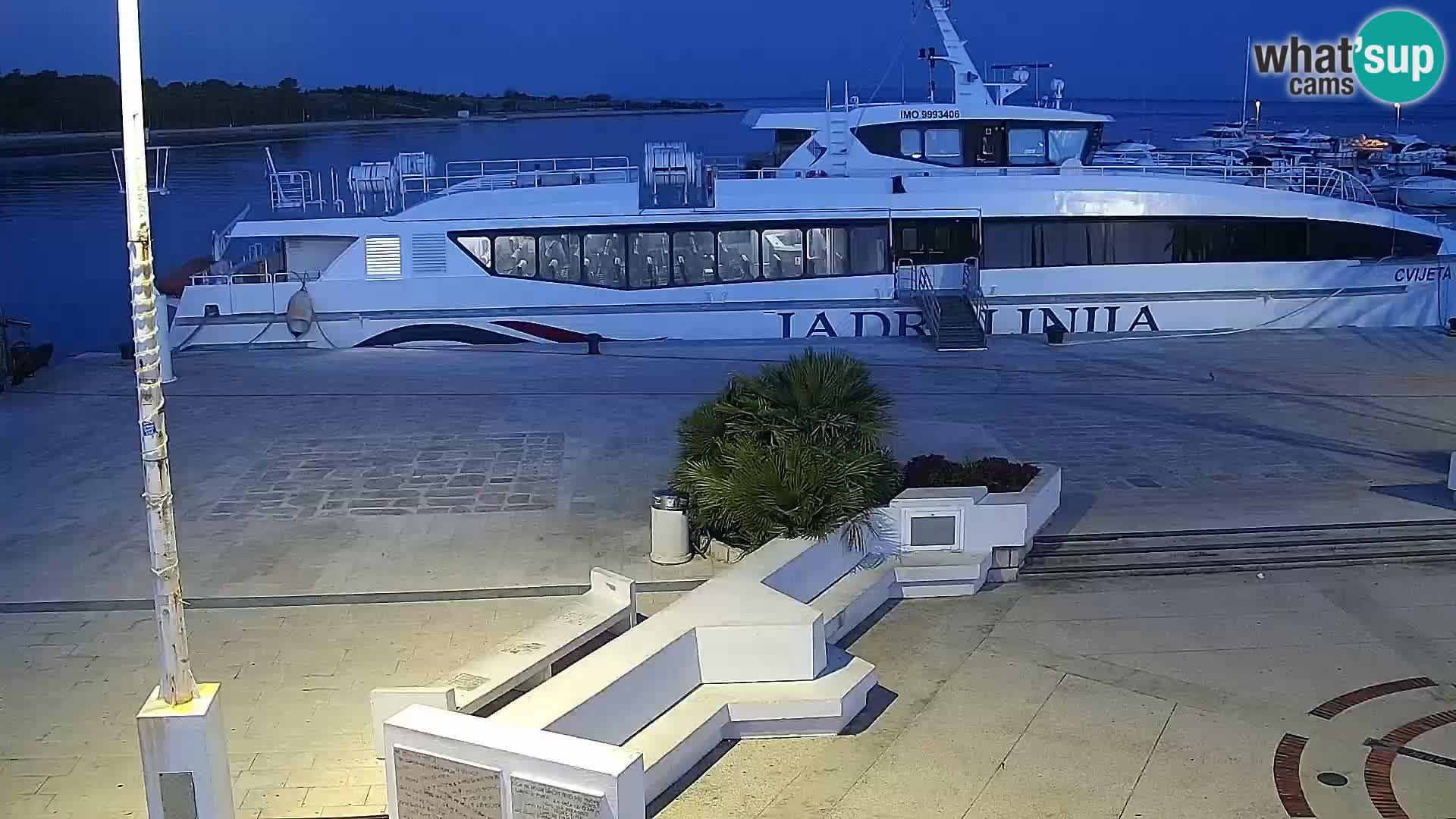Novalja Livecam promenade