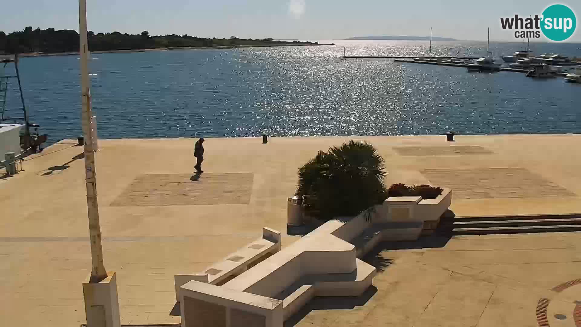 Live webcam Novaglia lungomare