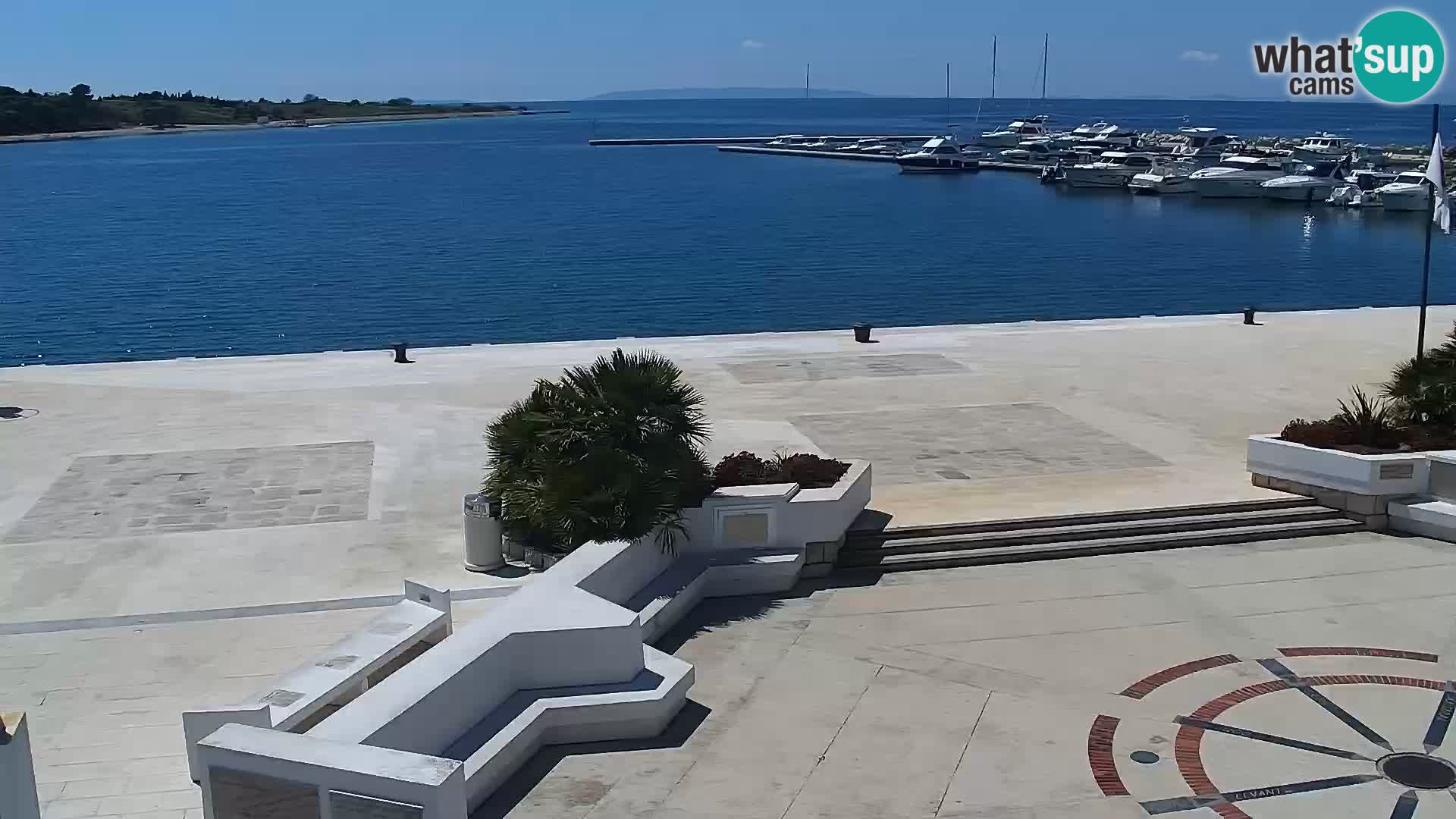 Promenade en Novalia Camera en vivo