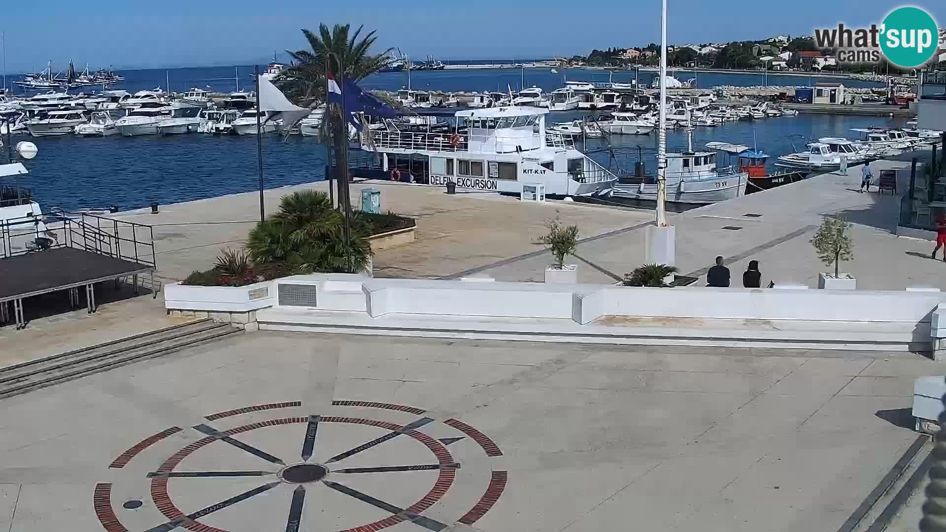 Promenade en Novalia Camera en vivo