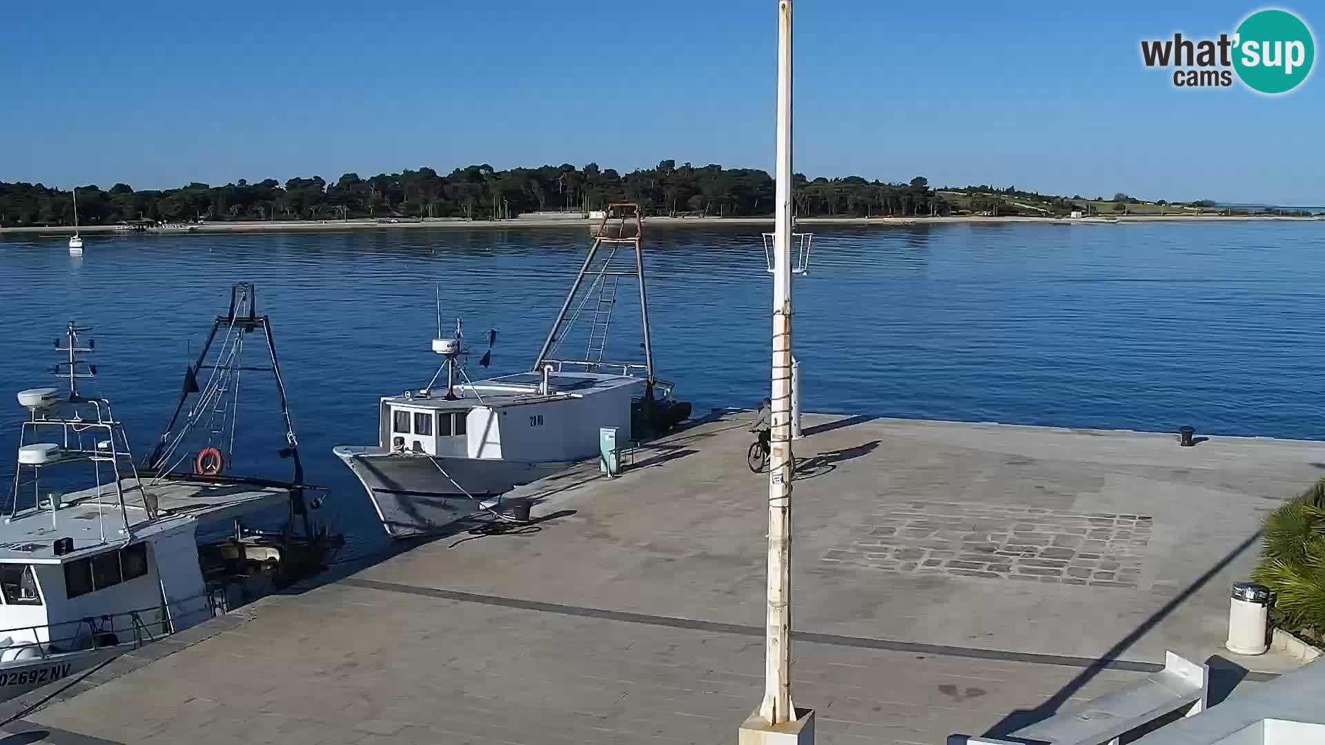 Novalja Livecam promenade