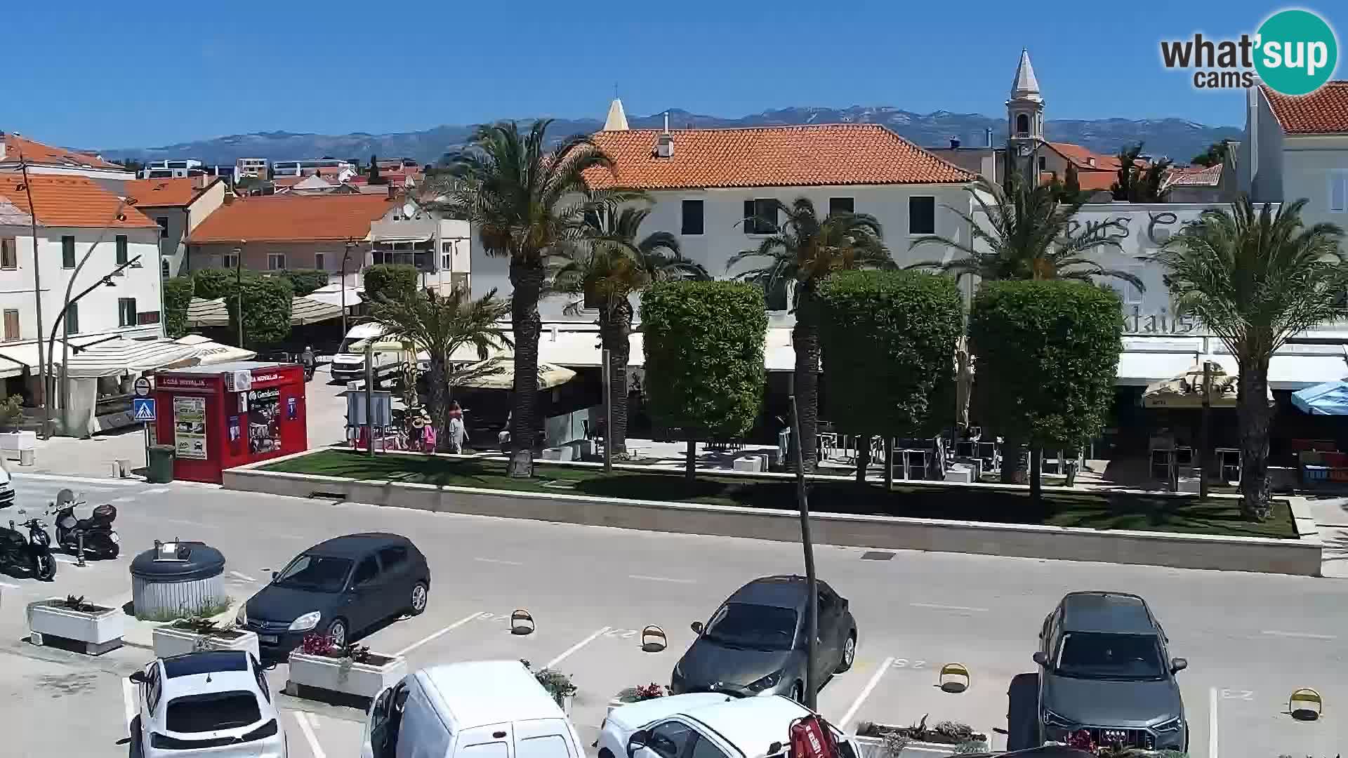 Promenade en Novalia Camera en vivo