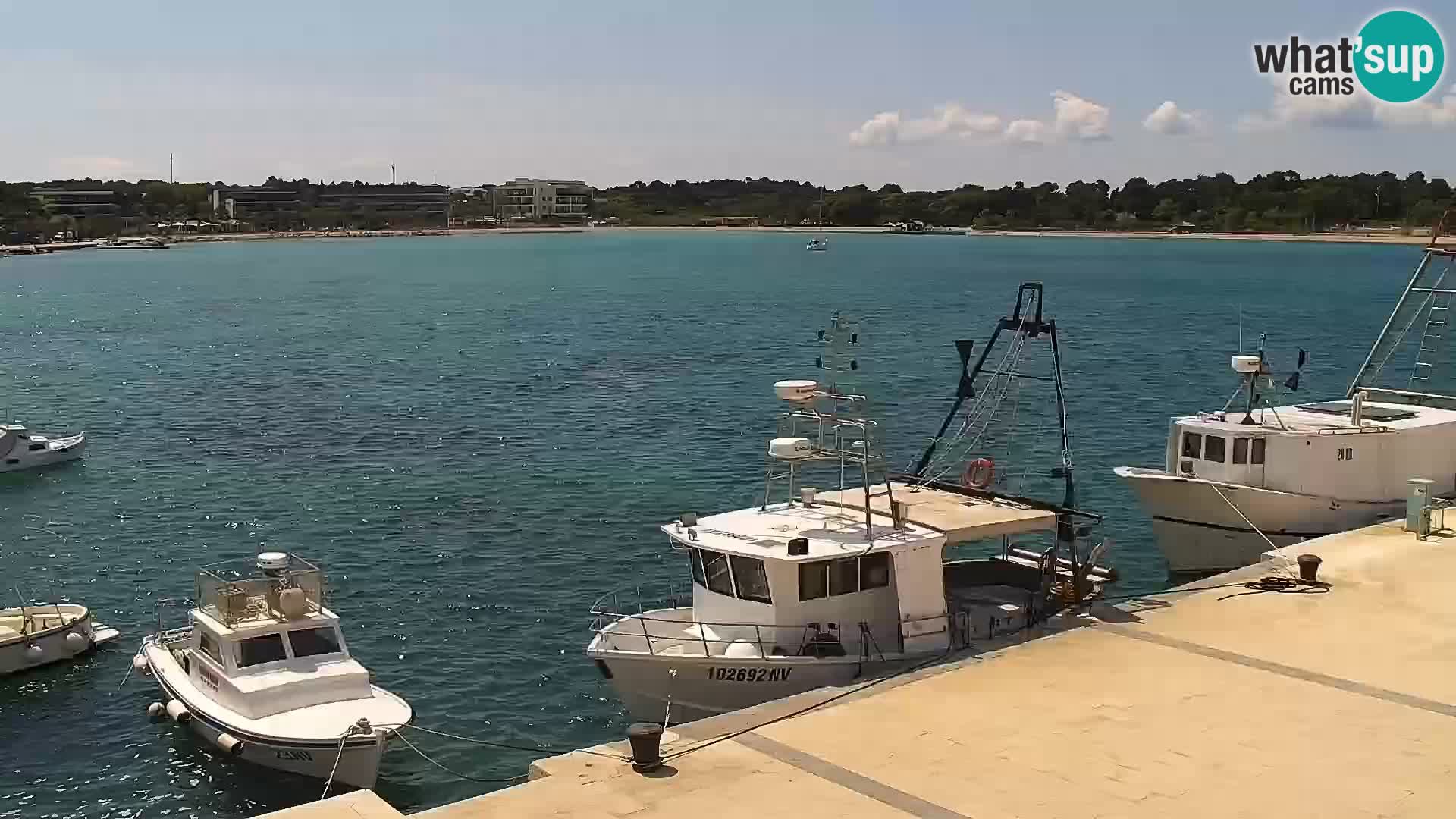 Webcam Novalja seaside promenade